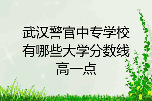 武汉警官中专学校有哪些大学分数线高一点
