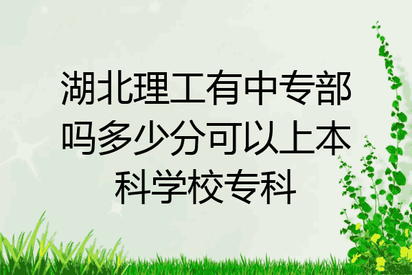湖北理工有中专部吗多少分可以上本科学校专科