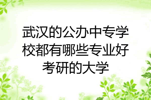 武汉的公办中专学校都有哪些专业好考研的大学