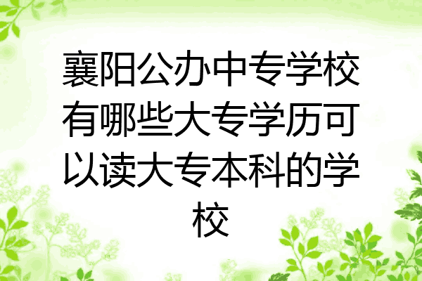 襄阳公办中专学校有哪些大专学历可以读大专本科的学校
