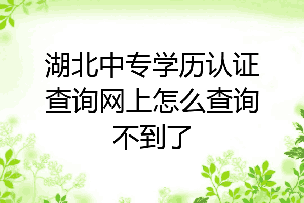 湖北中专学历认证查询网上怎么查询不到了