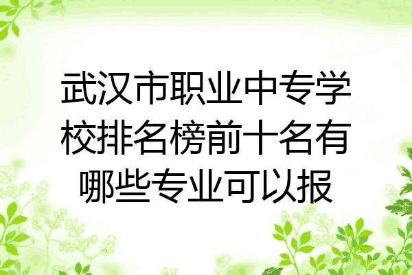武汉市职业中专学校排名榜前十名有哪些专业可以报