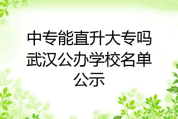 中专能直升大专吗武汉公办学校名单公示