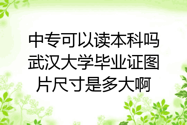 中专可以读本科吗武汉大学毕业证图片尺寸是多大啊