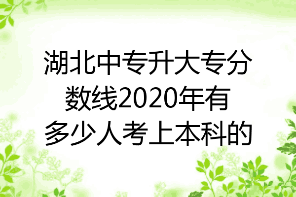 湖北中专升大专分数线2020年有多少人考上本科的