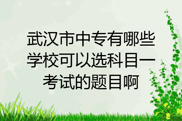 武汉市中专有哪些学校可以选科目一考试的题目啊
