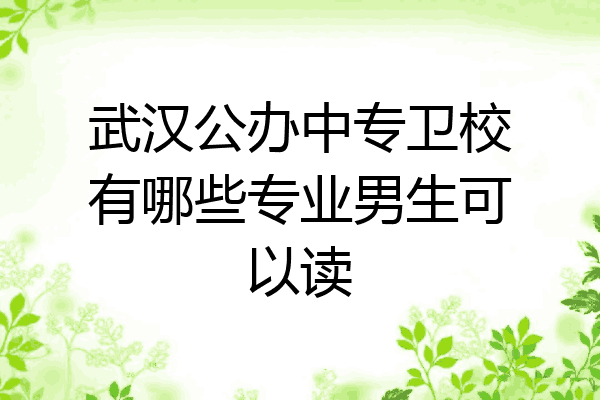武汉公办中专卫校有哪些专业男生可以读