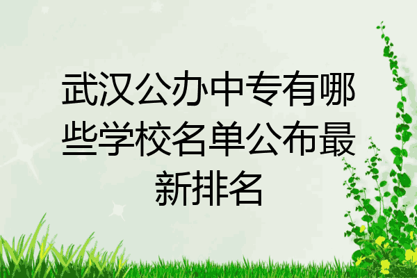 武汉公办中专有哪些学校名单公布最新排名
