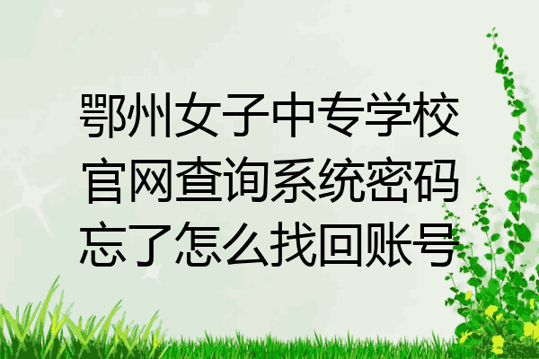 鄂州女子中专学校官网查询系统密码忘了怎么找回账号
