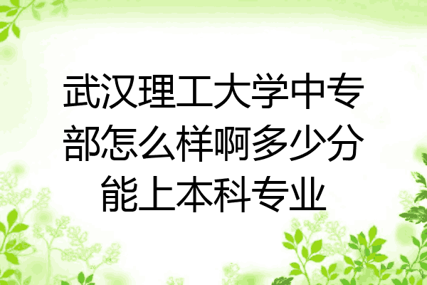 武汉理工大学中专部怎么样啊多少分能上本科专业