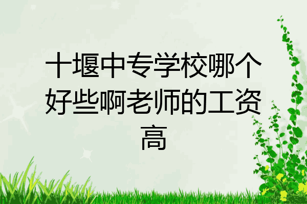 十堰中专学校哪个好些啊老师的工资高