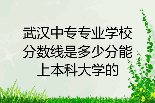 武汉中专专业学校分数线是多少分能上本科大学的