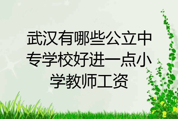 武汉有哪些公立中专学校好进一点小学教师工资