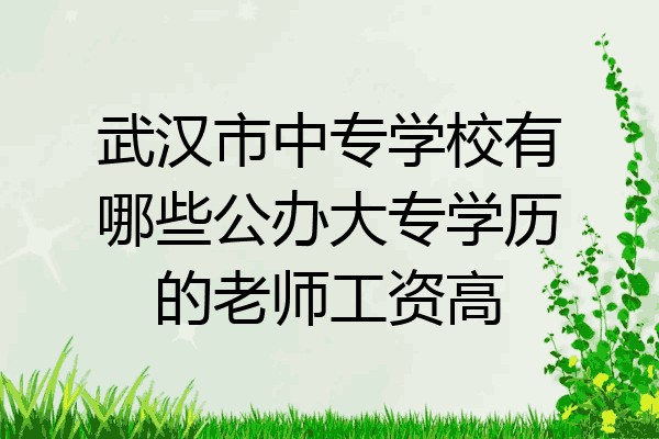 武汉市中专学校有哪些公办大专学历的老师工资高