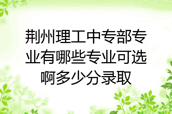 荆州理工中专部专业有哪些专业可选啊多少分录取