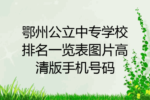 鄂州公立中专学校排名一览表图片高清版手机号码