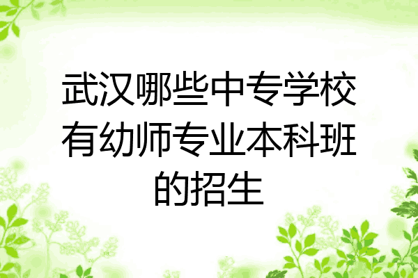 武汉哪些中专学校有幼师专业本科班的招生