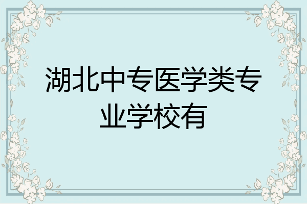 湖北中专医学类专业学校有