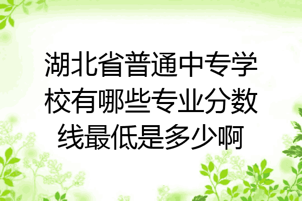 湖北省普通中专学校有哪些专业分数线最低是多少啊