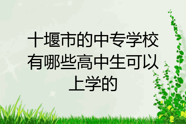 十堰市的中专学校有哪些高中生可以上学的