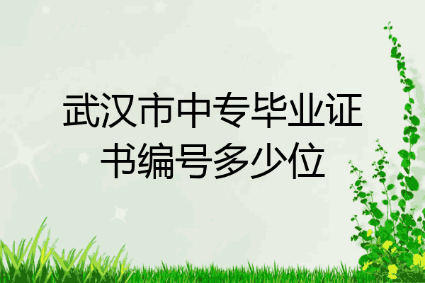 武汉市中专毕业证书编号多少位