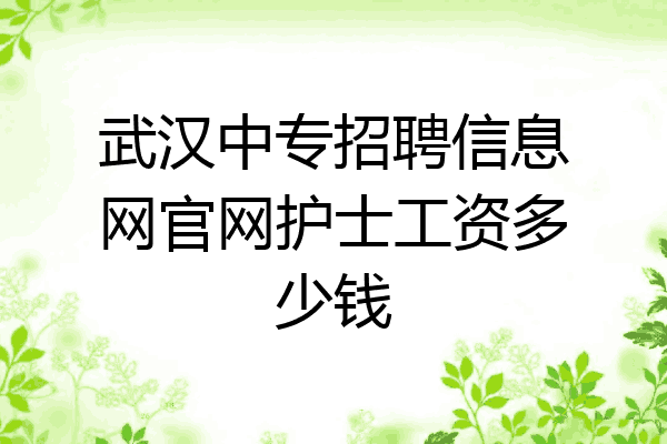 武汉中专招聘信息网官网护士工资多少钱