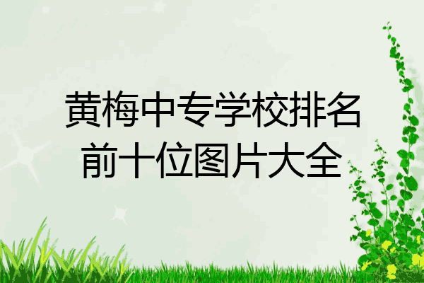 黄梅中专学校排名前十位图片大全