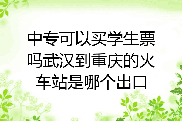 中专可以买学生票吗武汉到重庆的火车站是哪个出口