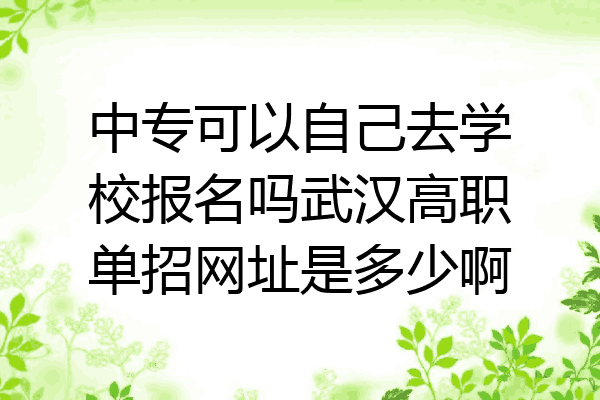 中专可以自己去学校报名吗武汉高职单招网址是多少啊