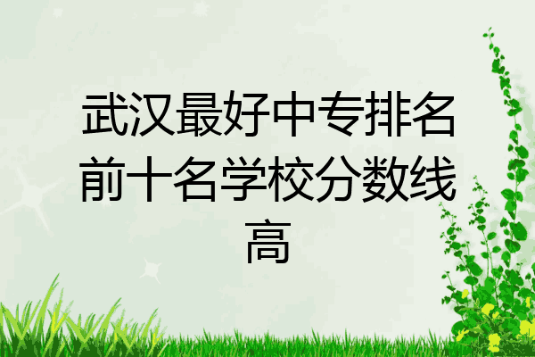 武汉最好中专排名前十名学校分数线高