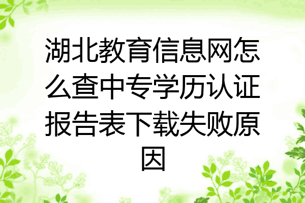 湖北教育信息网怎么查中专学历认证报告表下载失败原因