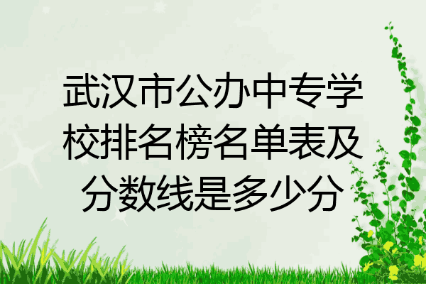 武汉市公办中专学校排名榜名单表及分数线是多少分