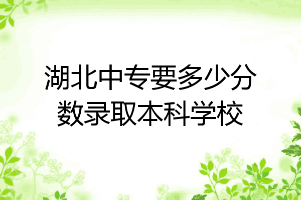湖北中专要多少分数录取本科学校