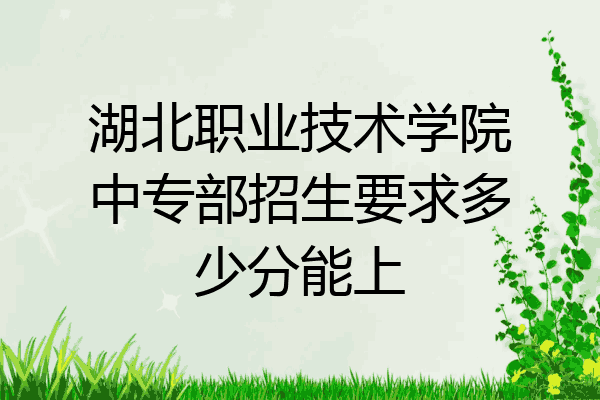 湖北职业技术学院中专部招生要求多少分能上
