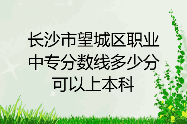长沙市望城区职业中专分数线多少分可以上本科