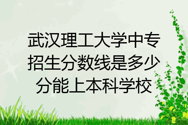 武汉理工大学中专招生分数线是多少分能上本科学校