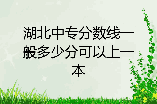 湖北中专分数线一般多少分可以上一本