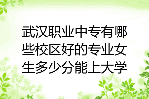 武汉职业中专有哪些校区好的专业女生多少分能上大学