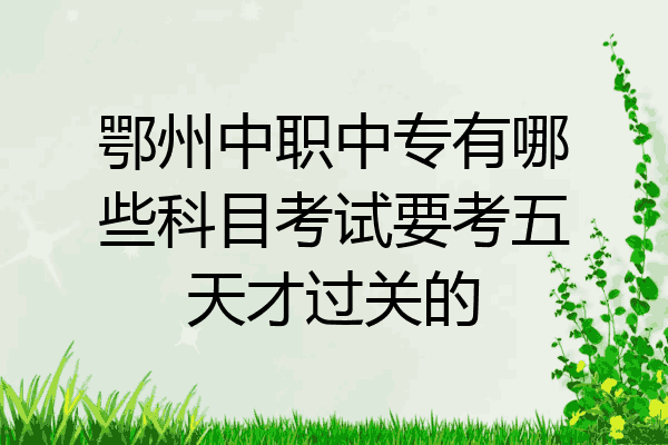 鄂州中职中专有哪些科目考试要考五天才过关的