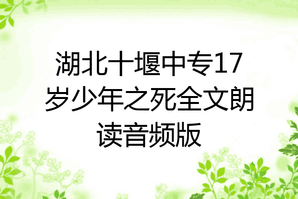 湖北十堰中专17岁少年之死全文朗读音频版