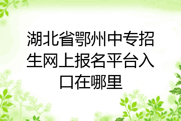 湖北省鄂州中专招生网上报名平台入口在哪里