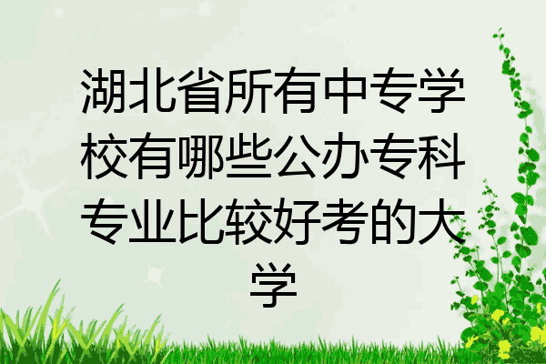 湖北省所有中专学校有哪些公办专科专业比较好考的大学