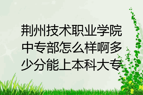 荆州技术职业学院中专部怎么样啊多少分能上本科大专