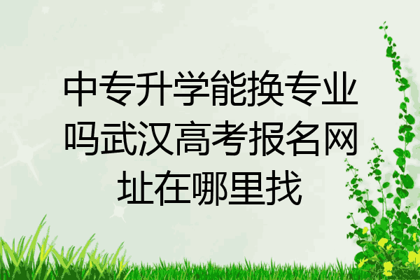 中专升学能换专业吗武汉高考报名网址在哪里找