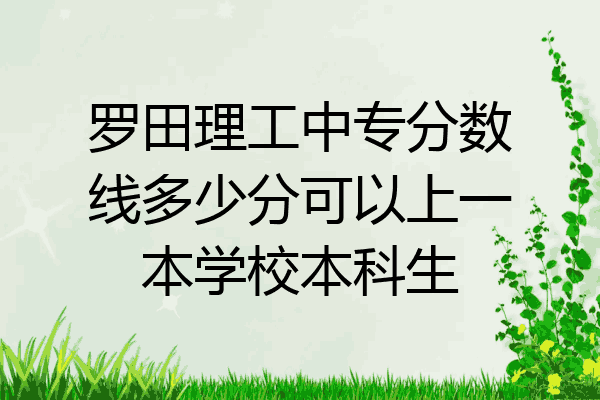 罗田理工中专分数线多少分可以上一本学校本科生