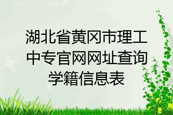 湖北省黄冈市理工中专官网网址查询学籍信息表