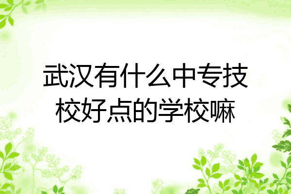 武汉有什么中专技校好点的学校嘛