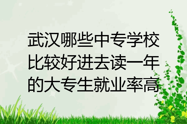 武汉哪些中专学校比较好进去读一年的大专生就业率高