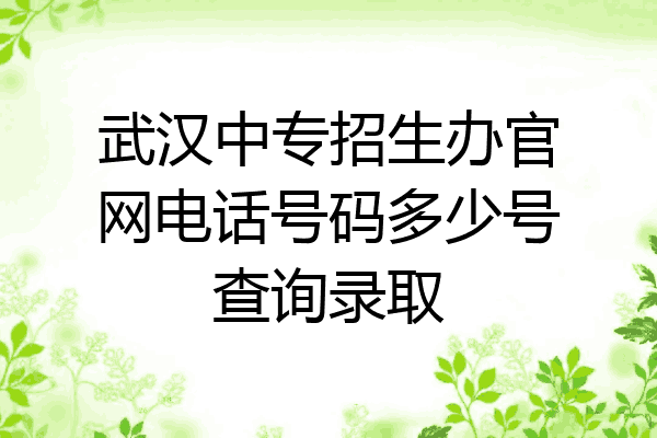武汉中专招生办官网电话号码多少号查询录取
