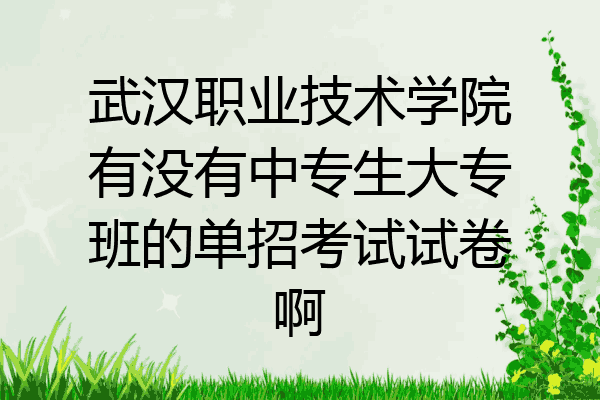 武汉职业技术学院有没有中专生大专班的单招考试试卷啊